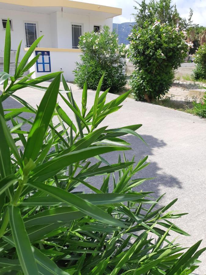 Politis Studios Kefalos  Bagian luar foto